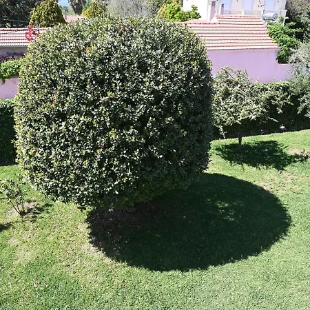 度假居 Beverley's House *