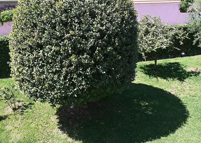 Casa de Férias Beverley's House *